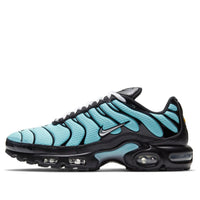 Giày Nike Air Max Plus ‘Aqua Silver’ CV8838-400