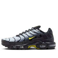 Giày Nike Air Max Plus ‘Wolf Grey Opti Yellow’ DM0032-012