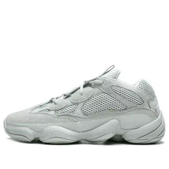 Giày nam Yeezy 500 Salt EE7287