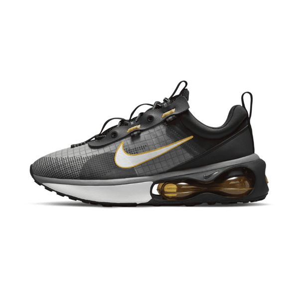 Giày Nike Air Max 2021 ‘Anthracite University Gold’ DH5134-001